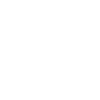 Prospector