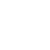 Prospector
