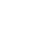 Prospector