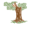 Squirrel Tree Squirrel Lover