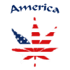 America United States