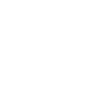 Bonsai - Plants