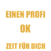 Profi Staplerfahrer Gabelstaplerfahrer