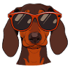 Dachshund Sunglasses Dog Lovers