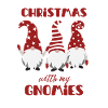 Noël avec mes gnomes