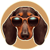 Retro Dachshund dog lovers