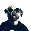 Frankie the 90's Pugman