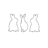 Zuhause bei meinen Hasen