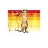 Erdmännchen Flüsterer Meerkat Whisperer