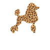 Mignon Lepard-peau-caniche-chien-amoureux