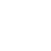 Flying Transport Pilot Flyer