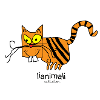 Gato loco