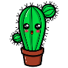 Cactus