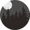 Night Forest