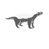 Honey Badger Doesn't Matter