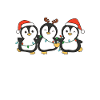 Christmas Penguin Christmas Pajamas