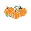 Autumn Thanksgiving Halloween Pumpkin