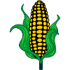 Corn cob