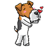 Foxterrier Drahthaar Hund Küsse Emoticon