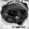 pug eyes!