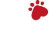 Animal Welfare Dog