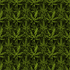 Marijuana Leafs