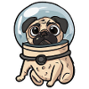 Astronaute Pug Dog Lover Puppy