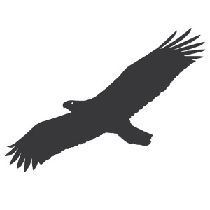 Adler dunkel