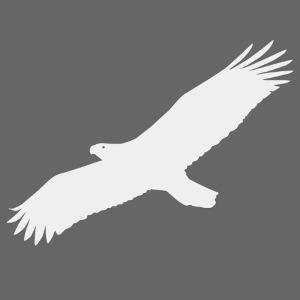 Adler hell