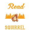 Squirrel Gift Grey Squirrel