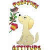 Positive attitude : chien