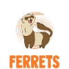Ferret Lover Ferret Gift