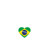 Brazil Brazil Brazilian Flag