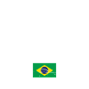 Proud Brazilian Brazilian Brazil Flag