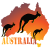 Kangourous d’Australie