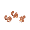 Cute squirrel lover — easy from