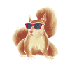 Squirrel with sunglasses Cool squirrel