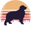 Bernese mountain dog mom