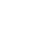 Prospector