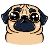 Kawaii Pug Dog Lover Puppy