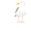 Moin Möwe