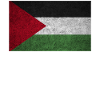 Palestine Flag