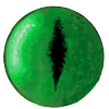 Œil de serpent vert