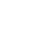 Newfie Training - Dogs