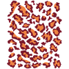 Leopard red orange
