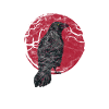 Raven