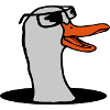 Bottom Hole Sunglasses Goose