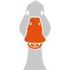 Tête d’oie de face