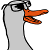 Face Sunglasses Goose Comic
