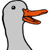 Head sweet happy goose